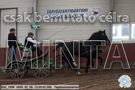 Mintakép 20260208-61