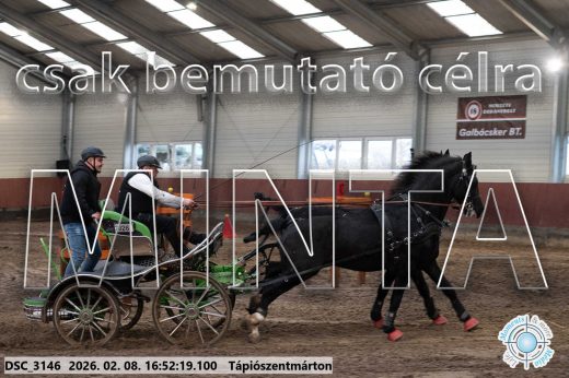 Mintakép 20260208-72