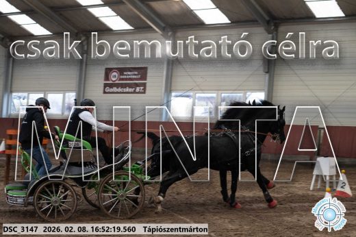 Mintakép 20260208-73