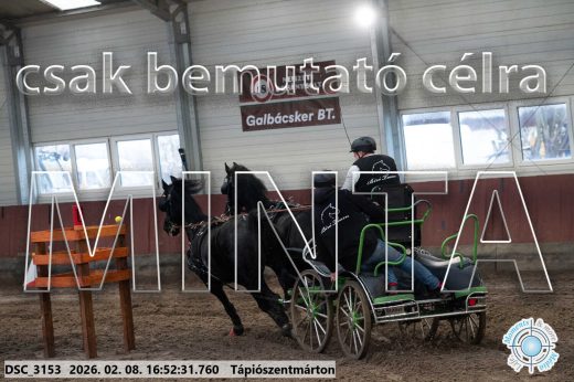 Mintakép 20260208-79