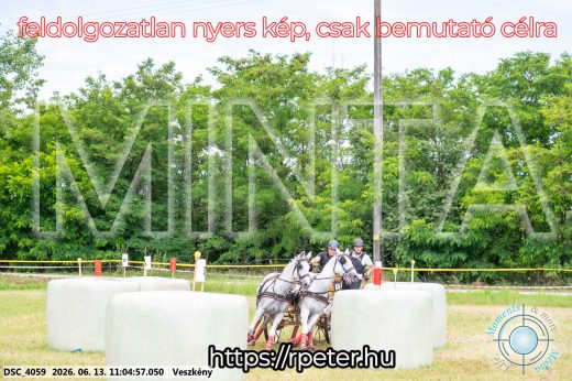 Mintakép 20260613-508