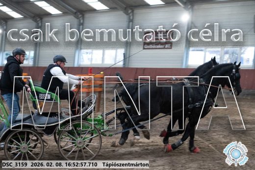 Mintakép 20260208-85