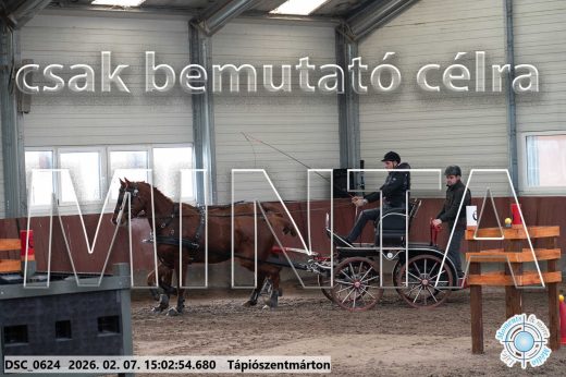 Mintakép 20260207-71
