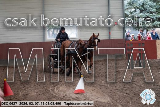 Mintakép 20260207-74