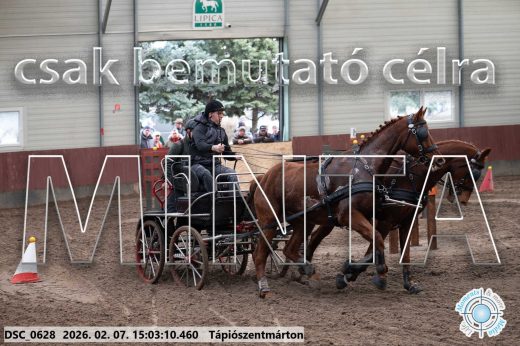 Mintakép 20260207-75