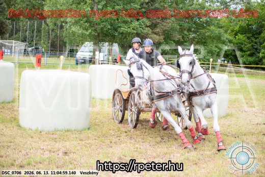 Mintakép 20260613-511
