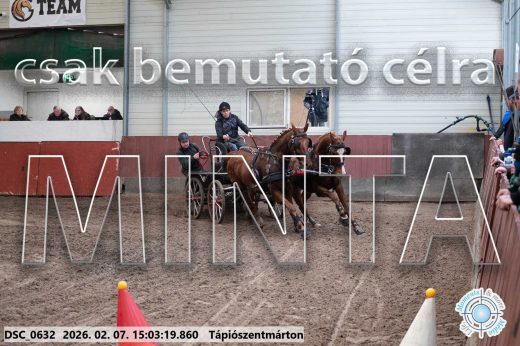 Mintakép 20260207-79