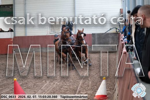 Mintakép 20260207-80