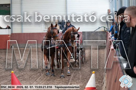 Mintakép 20260207-81