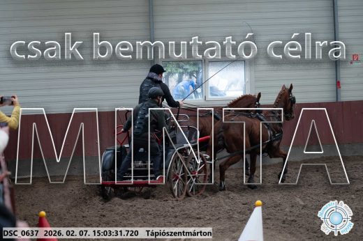 Mintakép 20260207-83