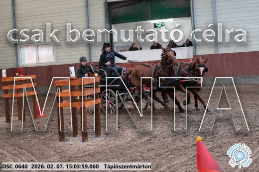 Mintakép 20260207-86