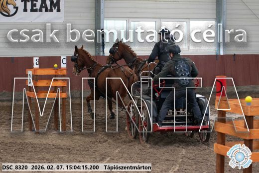 Mintakép 20260207-90