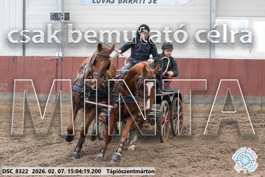 Mintakép 20260207-92