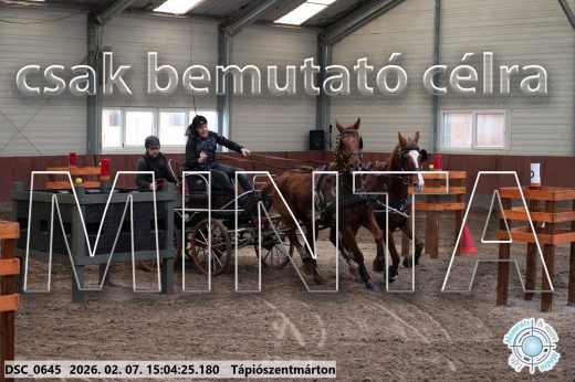 Mintakép 20260207-93