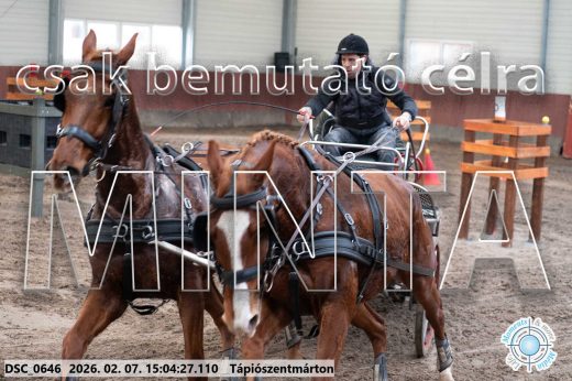 Mintakép 20260207-94