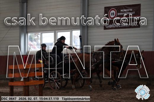 Mintakép 20260207-95
