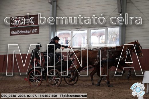 Mintakép 20260207-96