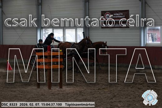 Mintakép 20260207-97