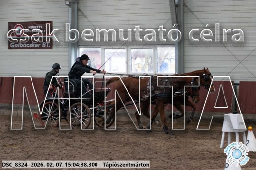 Mintakép 20260207-99