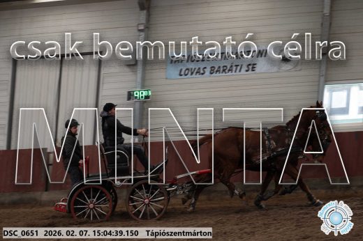 Mintakép 20260207-100