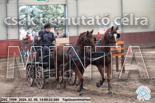 Mintakép 20260208-102