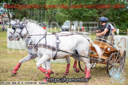 Mintakép 20260613-514