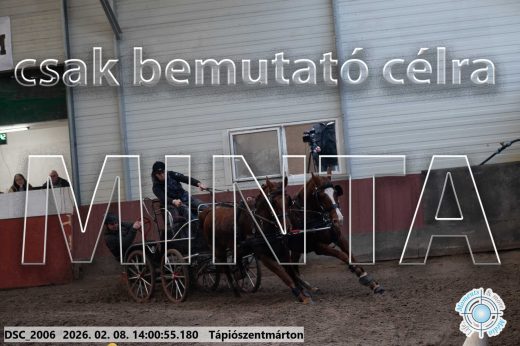 Mintakép 20260208-109