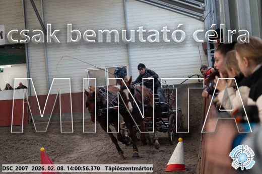 Mintakép 20260208-110