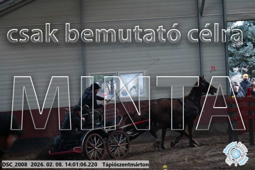Mintakép 20260208-111