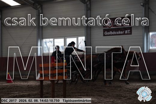 Mintakép 20260208-118