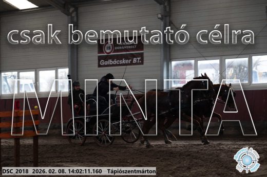 Mintakép 20260208-119