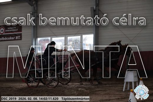 Mintakép 20260208-120