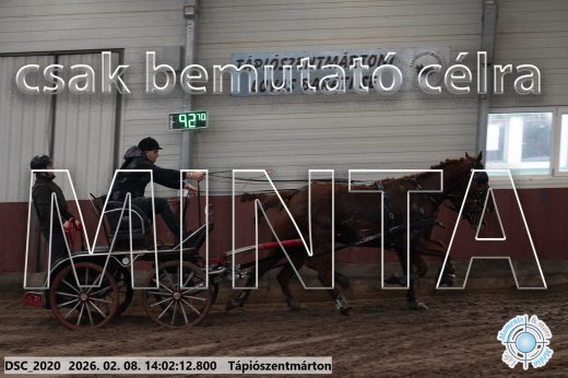 Mintakép 20260208-121