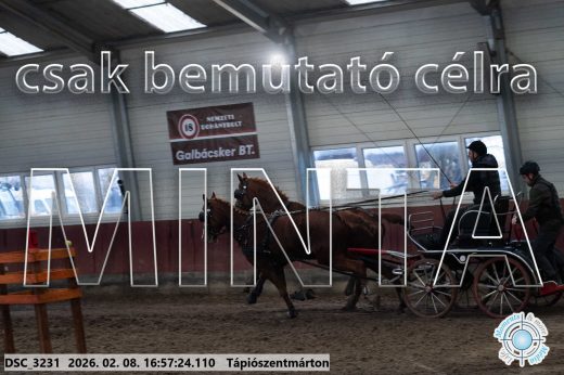 Mintakép 20260208-123