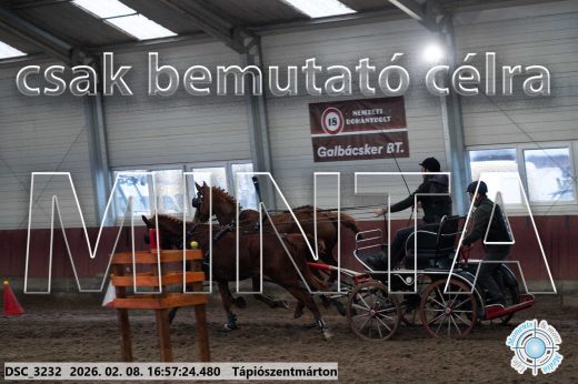 Mintakép 20260208-124