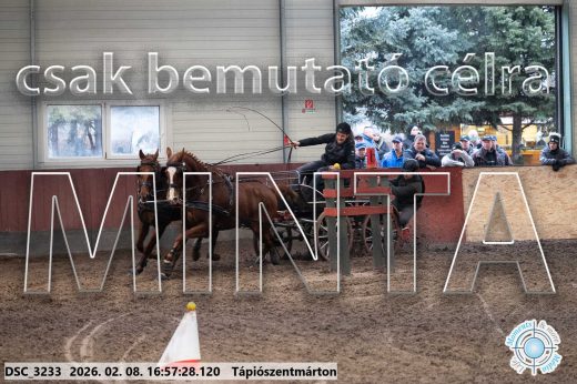 Mintakép 20260208-125