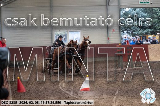 Mintakép 20260208-127