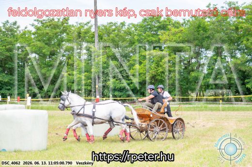 Mintakép 20260613-516