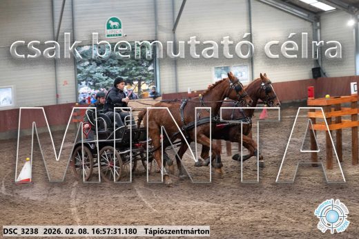Mintakép 20260208-130