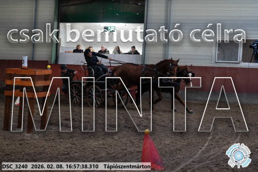 Mintakép 20260208-132