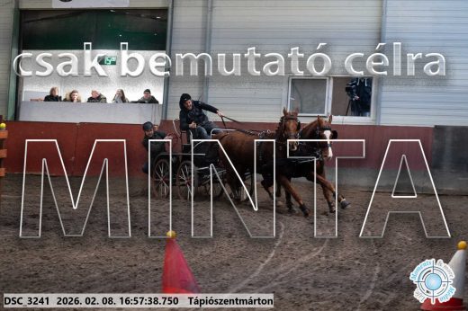 Mintakép 20260208-133