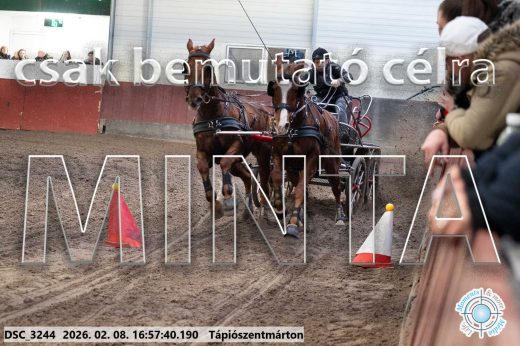Mintakép 20260208-136
