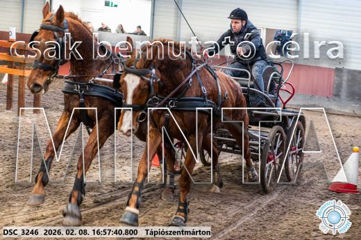 Mintakép 20260208-138