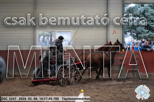 Mintakép 20260208-139