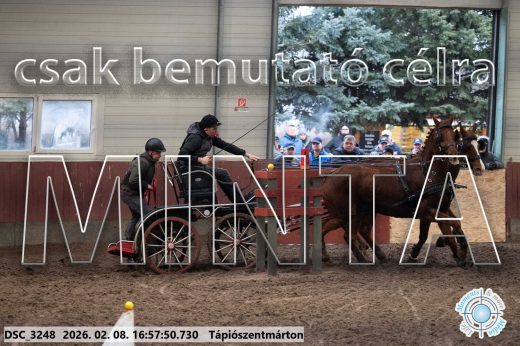 Mintakép 20260208-140