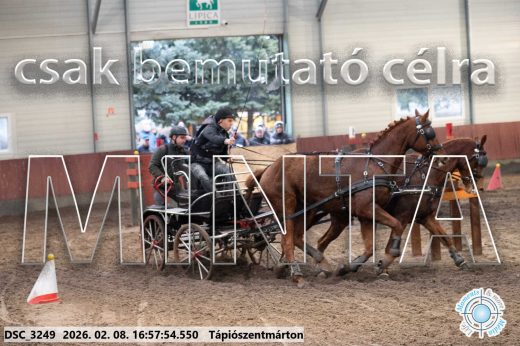 Mintakép 20260208-141
