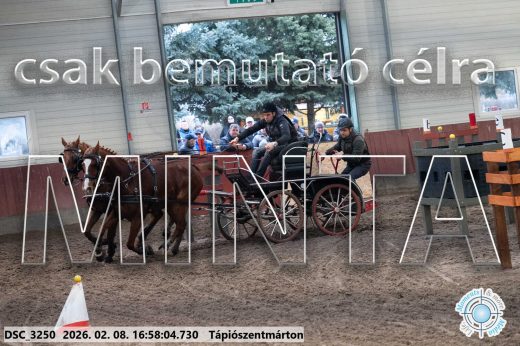 Mintakép 20260208-142