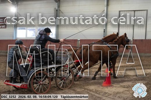 Mintakép 20260208-144