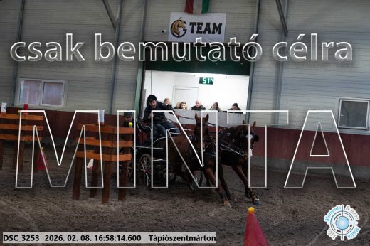 Mintakép 20260208-145