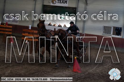 Mintakép 20260208-146